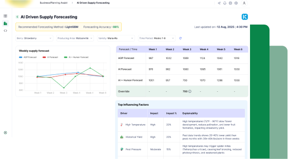Planning.AI Analytics Interface